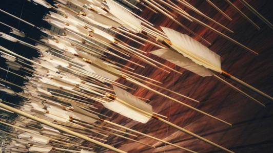 An arrow volley bombards a wooden surface.